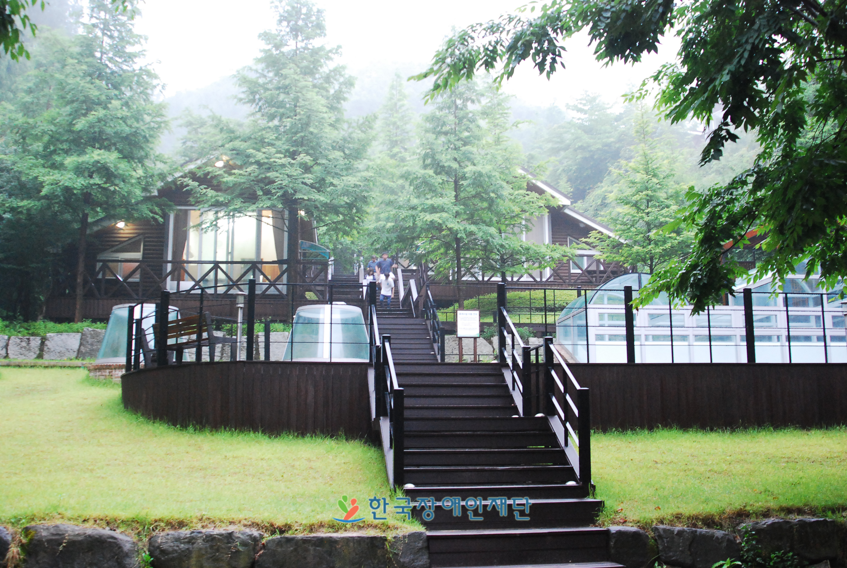 캠프 숙소 전경 (장태산자연휴양림 숲속의 집)